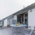 Apartament Selliner